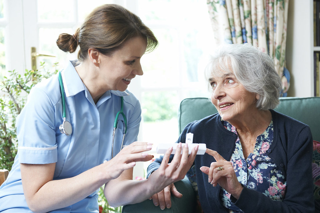 A community nurse advising a smiling older woman at home